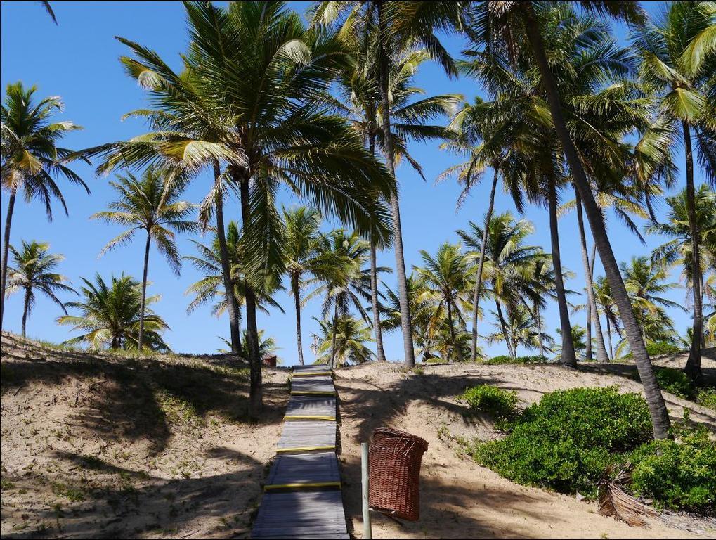 Apartamento Terraco Buganvilias - Reserva 因巴塞 外观 照片